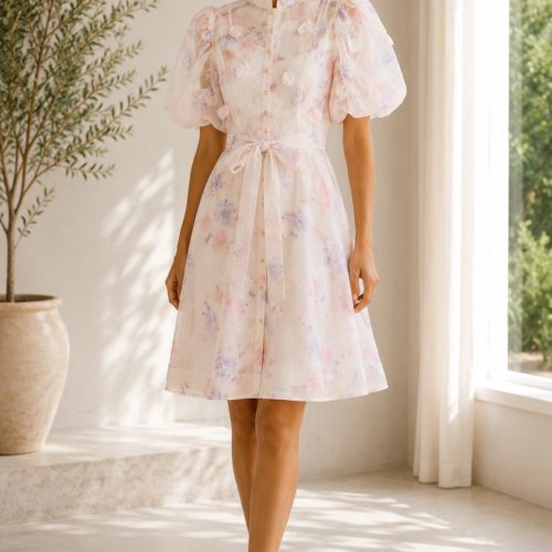 Dream Dress